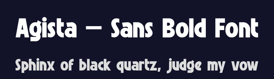 Agista – Sans Bold Font by NuType — Serif Font — thumbnail 2