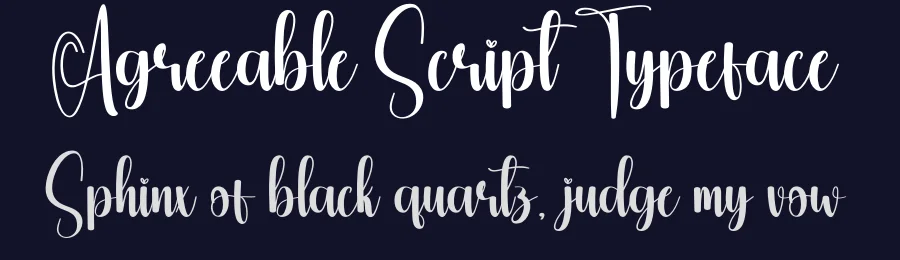 Agreeable Script Typeface by creativeletter — Script Handwritten Font — thumbnail 2