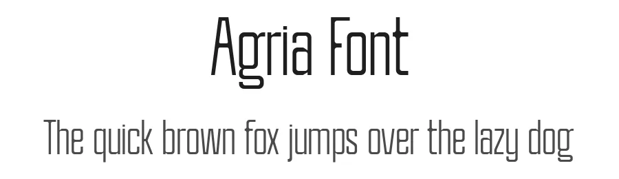Agria Font by HolisFonts Typestudio — Sans Serif Font