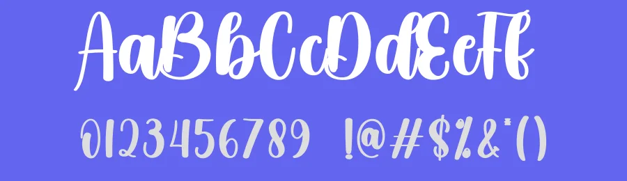 Aiguille Script Font by creativeletter — Script Handwritten Font — thumbnail 3