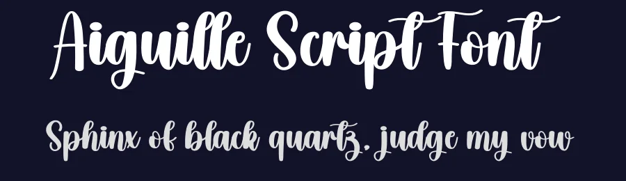 Aiguille Script Font by creativeletter — Script Handwritten Font — thumbnail 2