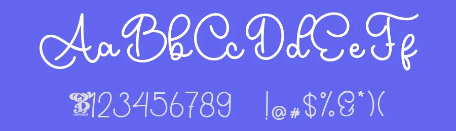 Aiky Nice Font by bearydsgn — Serif Font — thumbnail 3