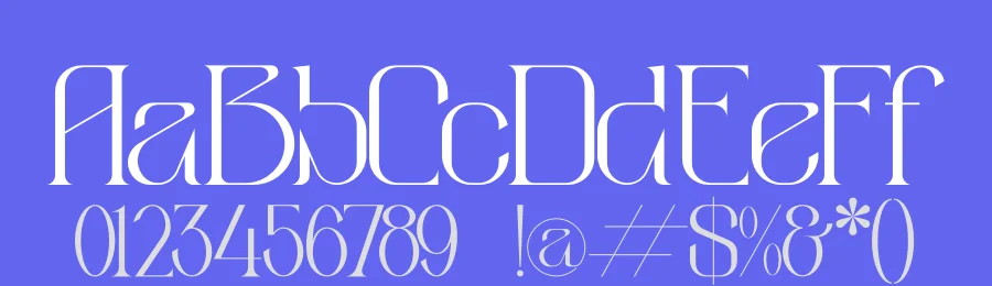 Aimstesa Serif Font by Storytype — Serif Font — thumbnail 3