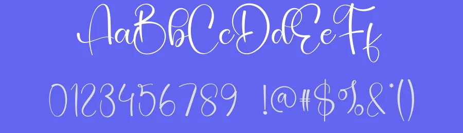 Ainsley Calligraphy Font by creativeletter — Script Handwritten Font — thumbnail 3