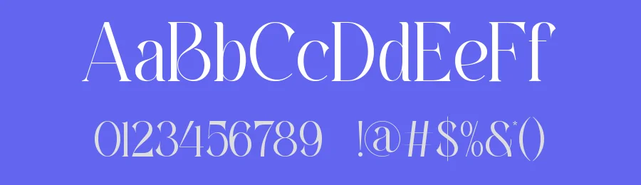 Airen || Elegant Classy Serif Font by ErmediaStudio — Display Font — thumbnail 3