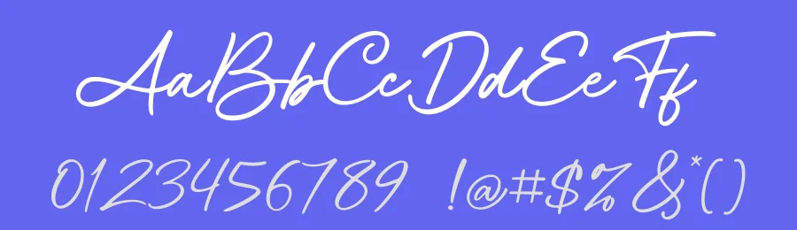 Aittemia Seikage Script Font by Basnistudio — Script Handwritten Font — thumbnail 3