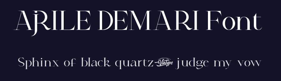 Ajrile Demari Font by VinType — Display Font — thumbnail 2