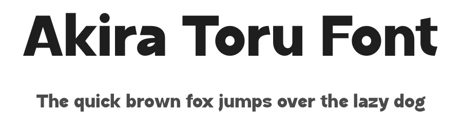 Akira Toru Font by MaikoHatta — Sans Serif Font