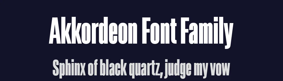 Akkordeon Font Family by Emtype Foundry — Sans Serif Font — thumbnail 2