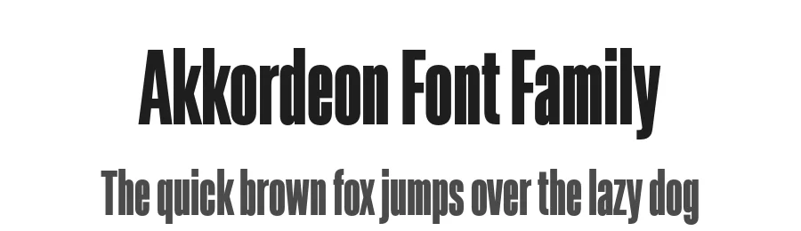 Akkordeon Font Family by Emtype Foundry — Sans Serif Font