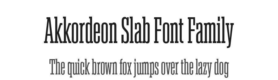 Akkordeon Slab Font Family by Emtype Foundry — Slab Serif Font