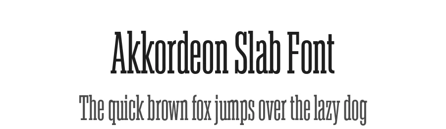 Akkordeon Slab Font by Emtype Foundry — Sans Serif Font