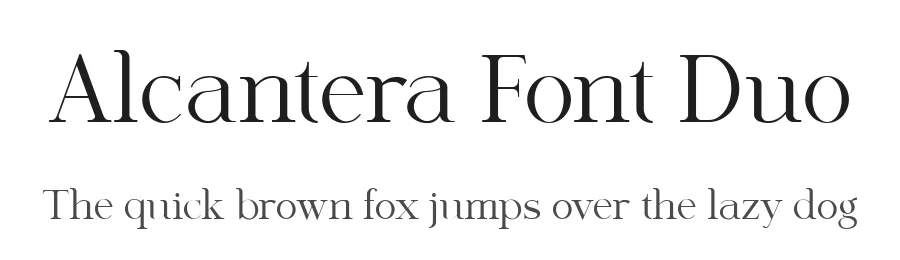 Alcantera Font Duo by Typebae — Script Handwritten Font