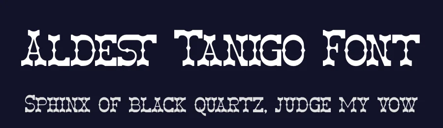 Aldest Tanigo Font by Denustudios — Decorative Font — thumbnail 2