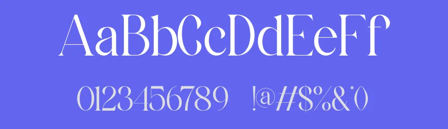 Alfines Serif Font by ErmediaStudio — Serif Font — thumbnail 3