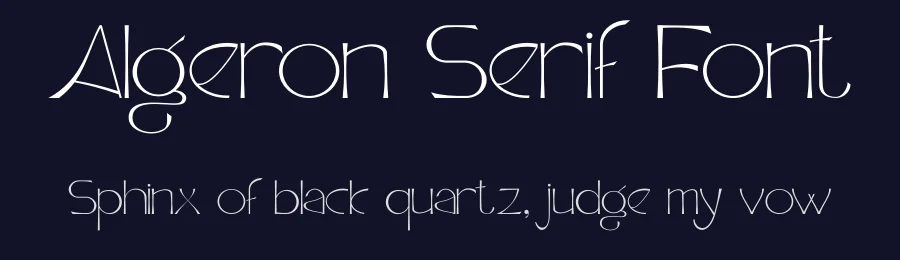 Algeron Serif Font by Jolicia Type — Serif Font — thumbnail 2