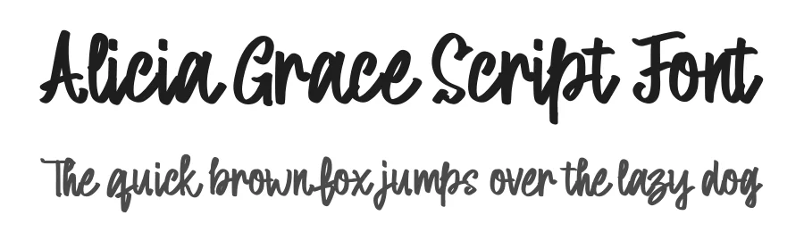 Alicia Grace Script Font by vaiminit — Script Handwritten Font