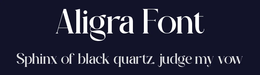 Aligra Font by ErmediaStudio — Serif Font — thumbnail 2