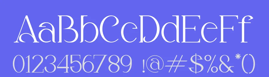 Alika Minimalist Serif Font by Storytype — Serif Font — thumbnail 3