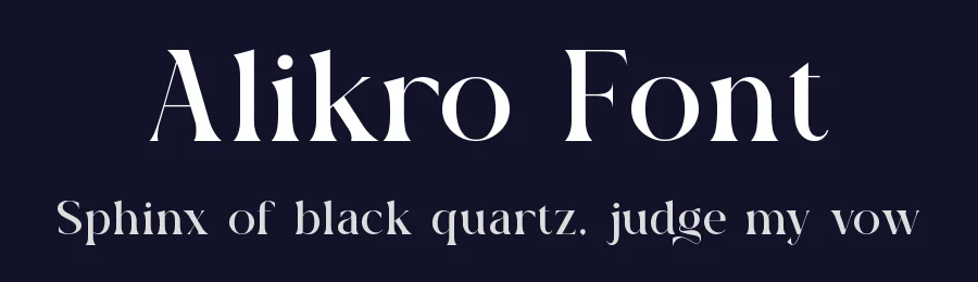 Alikro Font by ErmediaStudio — Serif Font — thumbnail 2
