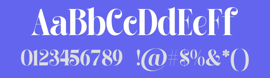 Alissha Bright Font by Shakira Studio — Serif Font — thumbnail 3