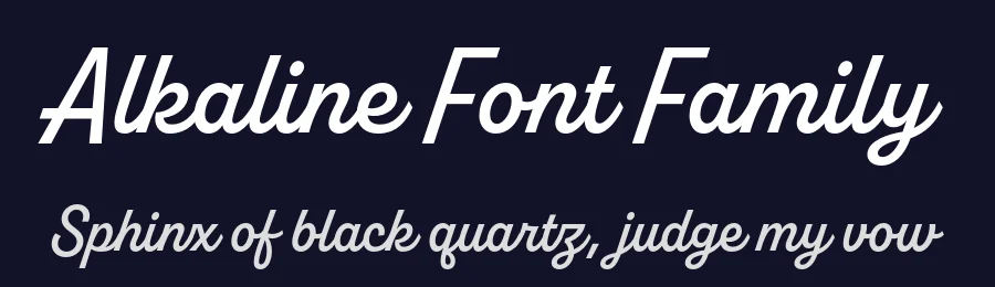 Alkaline Font Family by Fort Foundry — Script Handwritten Font — thumbnail 2
