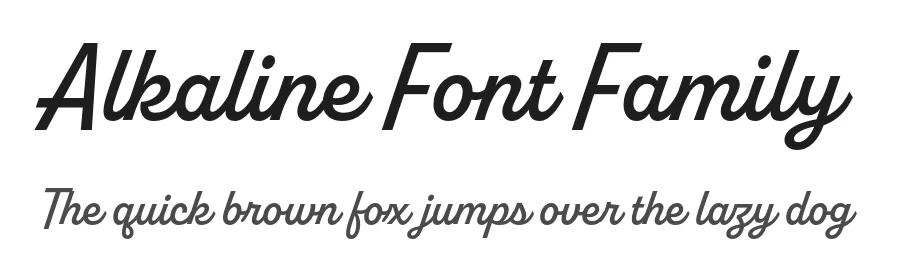 Alkaline Font Family by Fort Foundry — Script Handwritten Font
