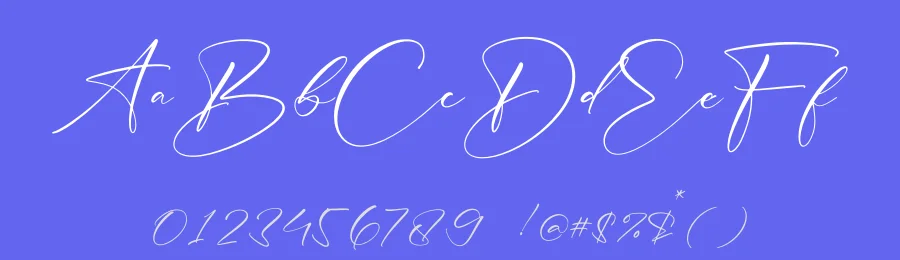 Allaberty Novelya Font by letterfabric — Script Handwritten Font — thumbnail 3