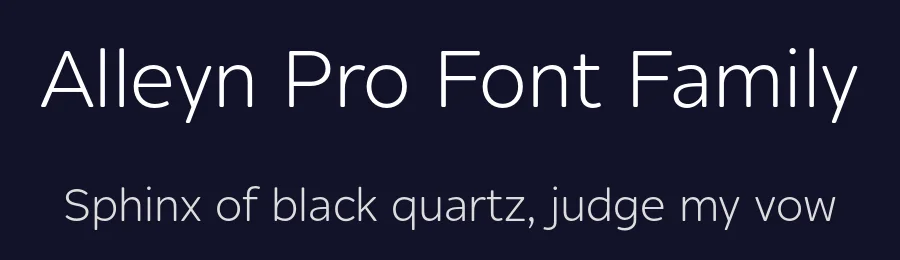 Alleyn Pro Font Family by AVP — Sans Serif Font — thumbnail 2