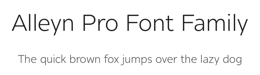 Alleyn Pro Font Family by AVP — Sans Serif Font