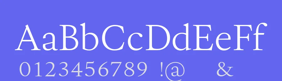 Allrounder Antiqua Font Family by Identity Letters — Serif Font — thumbnail 3