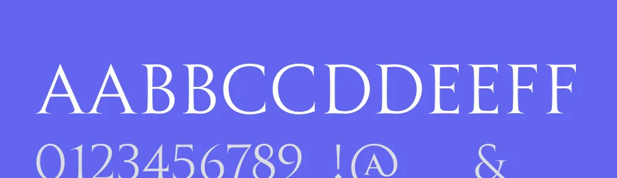 Allrounder Monument Font Family by Identity Letters — Serif Font — thumbnail 3
