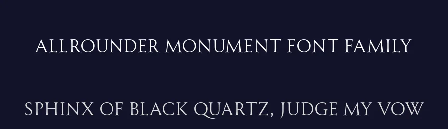 Allrounder Monument Font Family by Identity Letters — Serif Font — thumbnail 2