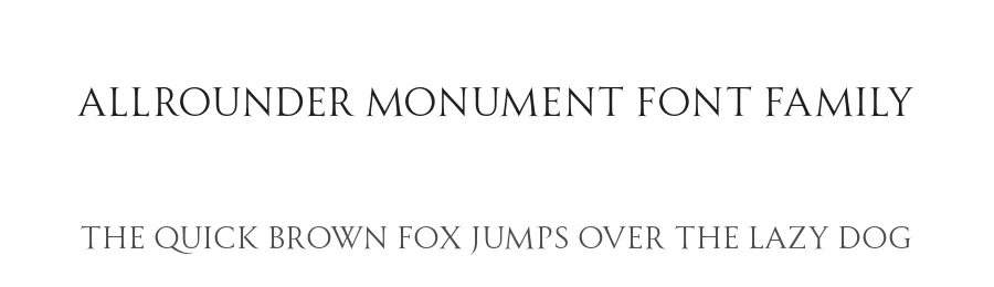 Allrounder Monument Font Family by Identity Letters — Serif Font