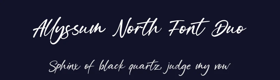 Allyssum North Font Duo by fontkong — Serif Font — thumbnail 2