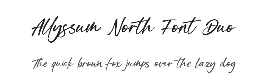 Allyssum North Font Duo by fontkong — Serif Font