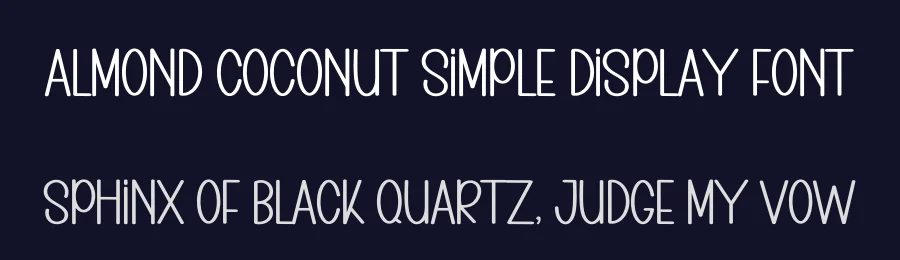 Almond Coconut Simple Display Font by freshtypeink — Display Font — thumbnail 2