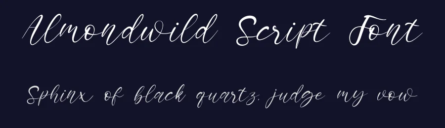 Almondwild Script Font by qwrtype — Script Handwritten Font — thumbnail 2