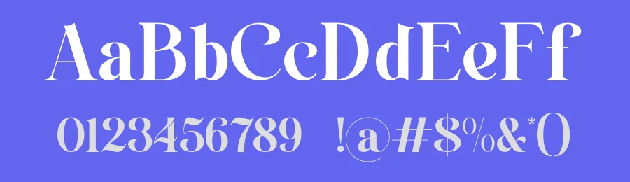 Almore Serif Font by ErmediaStudio — Serif Font — thumbnail 3