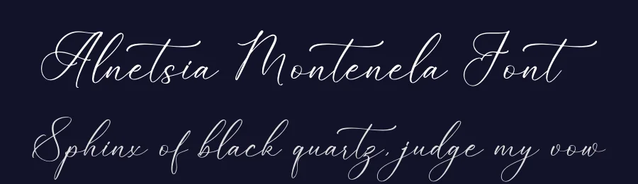 Alnetsia Montenela Font by Storytype — Script Handwritten Font — thumbnail 2