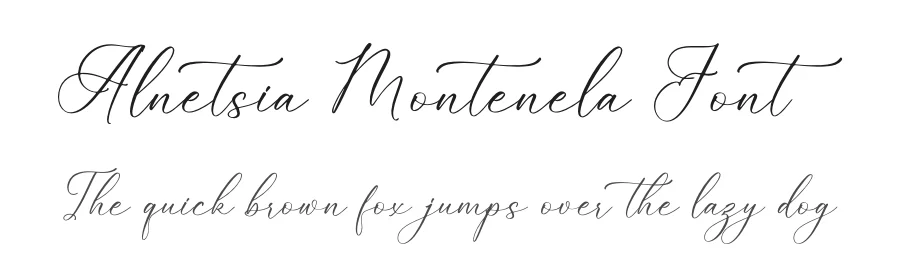 Alnetsia Montenela Font by Storytype — Script Handwritten Font