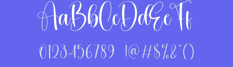 Alone Calligraphy Font by creativeletter — Script Handwritten Font — thumbnail 3