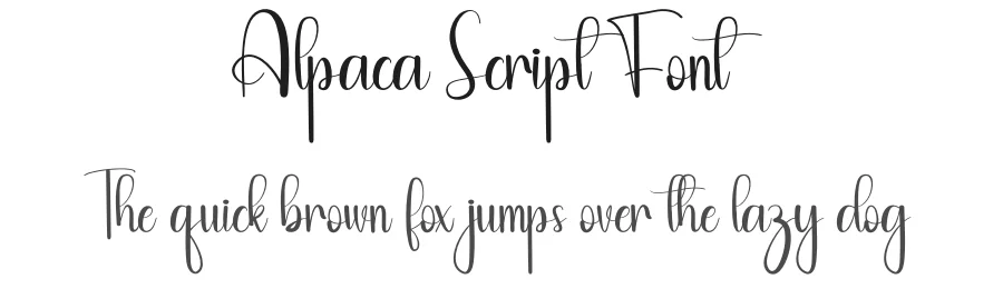 Alpaca Script Font by andikastudio β Script Handwritten Font