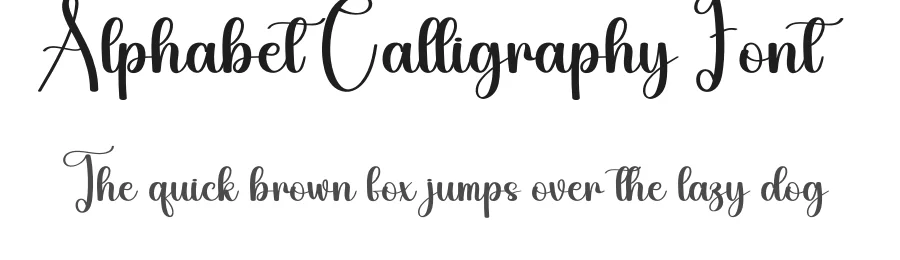 Alphabet Calligraphy Font by creativeletter — Script Handwritten Font