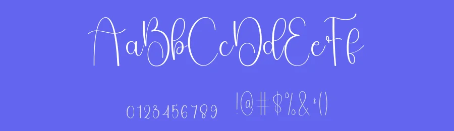 Alphabet Signature Style Script Font by freshtypeink — Script Handwritten Font — thumbnail 3