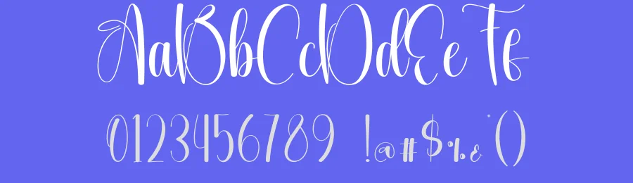 Already Script Font by creativeletter — Script Handwritten Font — thumbnail 3