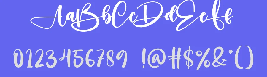 Already Script Font by creativeletter — Script Handwritten Font — thumbnail 3