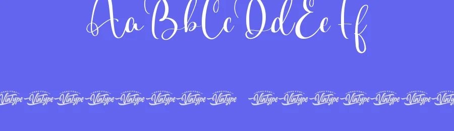 Always Funny Font by VinType — Display Font — thumbnail 3