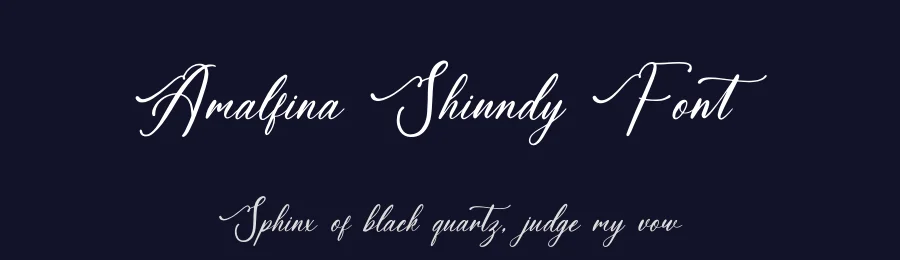 Amalfina Shinndy Font by letterenastudios — Script Handwritten Font — thumbnail 2