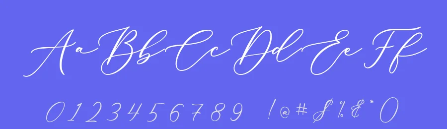Amalia Script Font by Typeface — Script Handwritten Font — thumbnail 3